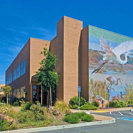 Doubletree By Hilton Napa Valley - Амерікан-Каньон Екстер'єр фото